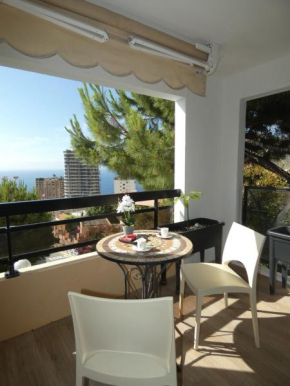 Explore Montecarlo sea view, private parking